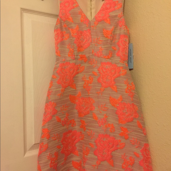 SOLD******NWT Antonio Melani Dress - Picture 2 of 5